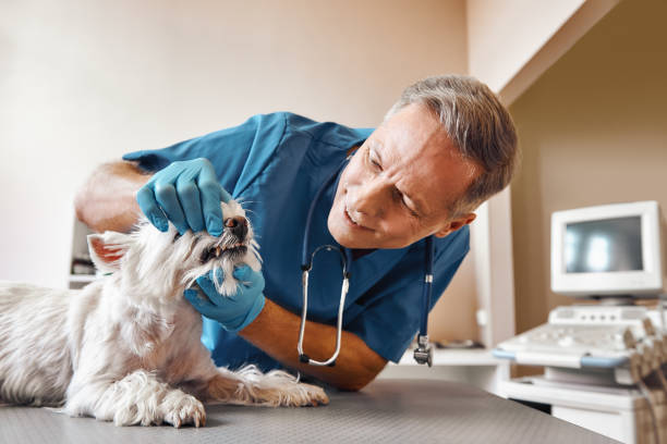 Best Emergency Tooth Extraction in Chickasha, OK